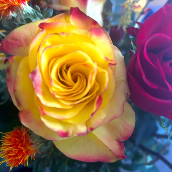 Meet your Posher, Amber - Picture 1 of 1